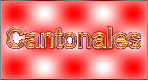 Zone de Texte:  